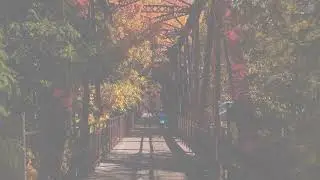 Templeton Real Estate Group - Things to do September 23rd