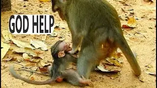 HEART BREAKING & TERRIFIED CRYING ALBA....TINY BABY MONKEY ALBA EXTREMELY CRY DEEPLY SCARE LOSS MOM