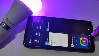 SYSKA Smart Bulb Amazon Alexa Setup