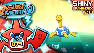 UNDER 100 EGGS! SHINY SHUCKLE!! Quest For Shiny Living Dex #213 | Sun Moon Shiny #79