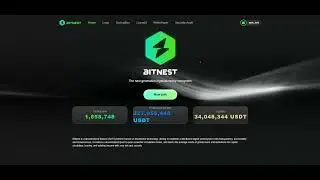 BITNEST - BEST INTRO NEW SMARTCONTRACT DEFI AUTO-INCOME SYSTEM - JOIN NOW - TOP TEAM ROB BUSER