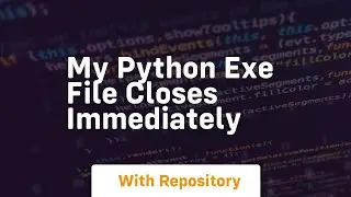 my python exe file closes immediately
