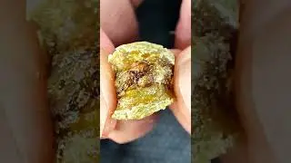 Macro clip 👉Raisins