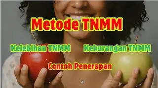 Metode Transfer Pricing TNMM