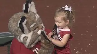 Baxter's busy season with the D-Backs