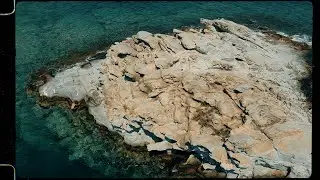 Dog Days // DJI Mavic Mini + Sony a7iii