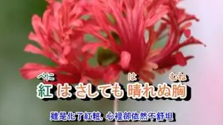 01-008  目ン無い千鳥***大川栄策 (台:春夢不了情)  音緣43382/280    金嗓 40285