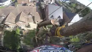 TREE SURGERY - first person - rigging/lowering - tree removal over power lines.