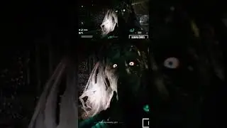 Species Unknown- Checking out the new update for Lab wing areaa