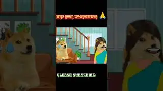 Cheema dog funny video