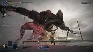 Libra with 3 madness weapons