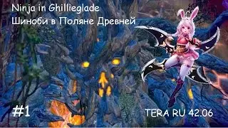 TERA RU 42.06 - #1 Ninja in Ghillieglade , No UI gameplay. Шиноби в Поляне Древней.