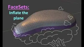 Blender - FaceSets.  'Inflate the plane'