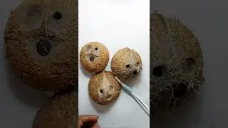 Coconut Shells & Old Toothbrush Magic | DIY Home Decor | DIY Gift | DIY Showpiece | Craft From Waste