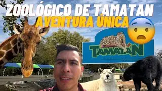 ZOOLÓGICO DE TAMATÁN| AVENTURA ÚNICA EN TAMAULIPAS 🦒🐆🐅