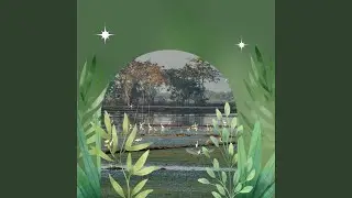 Incredible Music for Sweet Nature