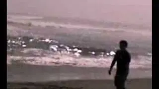 5x + y = Mate en la Playa