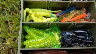 Drop shot fishing set up for catching perch from the Norfolk Broads
