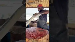 INSANE Needle Fish Cutting Skills in 23 Second 😱 FASTEST Knife Skills #shorts #fishcutting #seafood