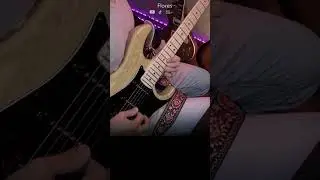 Cementery Gates (Pantera) - Guitar Solo Cover | Ray Flores