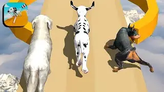 Dog 🐕 Run 3D - Fun Race Walkthrough IOS Android Gameplay Level - 7