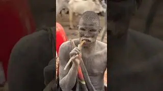 How do Adivasi people clean their teeth?&rdquo; #shortsvideo #shortvideo #shorts
