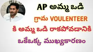 Amma vodi for volunteers || Amma vodi update for volunteers 2020 || AP AMMA VODI ||