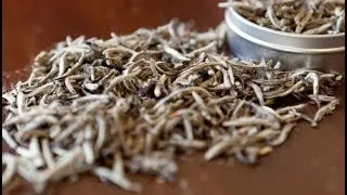&Ccedil;aji i bardh&euml;, bima q&euml; ul trigliceridet