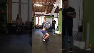The South Mayhem - Team Calia & Simenza cat scaled -70
