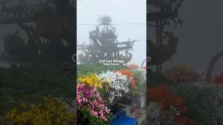 Experience the REAL Cat Cat Village in Sapa Vietnam