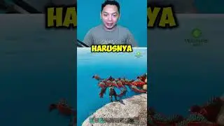 ALPHA LIVYATAN TAK TERKALAHKAN