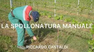 Vite. La spollonatura manuale