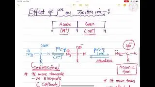 Dipolar Ion or Zwitter ion | Effect of pH on Zwitter ion