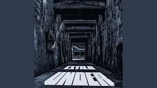 The under