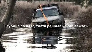 1.1.2020 в берМУДДском лесу Хадеры.
