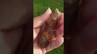 62 G Rare Melodys Stone Scepter Twin Dolphin Amethyst Phantom Dt Skeletal Key Imprint Quartz Crystal