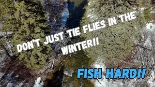 Don't Just Tie Flies in the Winter!! | Fly Fishing for Trout in the Winter!