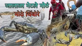 आज गेलो जालाला  लागले मोठे मोठे चिंबोऱ्या 🦀😱😱😱😱Biggest mud crab catching video in Mumbai 🦀😱😱