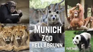 Tierpark Hellabrunn Zoo in Munich | Full Zoo Tour