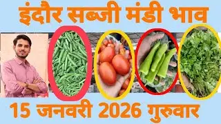 15 January 2026 सब्जी मंडी भाव इंदौर 🍅🥕🌽#today #indoremandi #sabjimandi #ytshorts #vegetables 