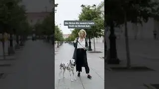 Zieht dein Hund an der Leine? Vergiss alle Methoden!