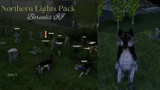 Northern Lights Pack - Borealis II - Rendezvous/Grow Pups [WolfQuest Saga]