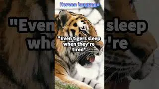 [Korean proverbs] 