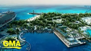 Cruise line leads coral protection projects
