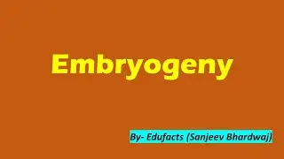 Embryogeny l Formation of embryo in Angiosperms I Development of Embryo in Flowering Plants