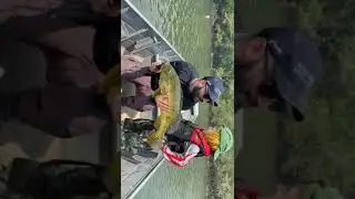 Pescaria de Tucunar&eacute; na pousada Von den Steinen mato grosso