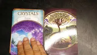 Tarot Review   Earth Magic Oracle by Steven D  Farmer