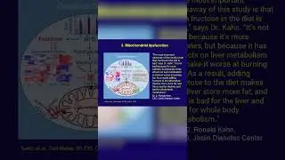 Robert Lustig: Fructose overload triggers mitochondrial dysfunction and disrupts cellular energy