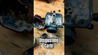 Restoring a 30-year-old carb with ultrasonic cleaner