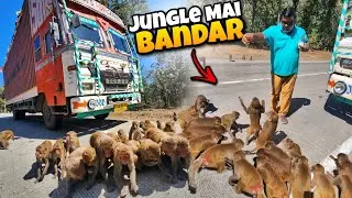 Jungle Ke Bich Itne Sare Bandar Aa Gaye 😱 || Aaj Truck Sagar Chalayega || #vlog